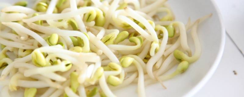 立春吃哪种菜 立春吃哪种菜比较好