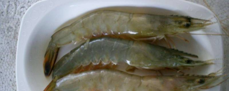 虾3040规格是什么意思 虾的规格3040什么意思