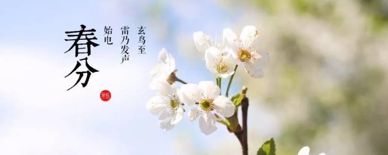 春分的由来（春分的由来简介）