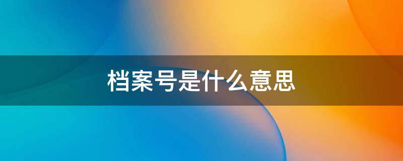 档案号是什么意思 档案是什么意思?