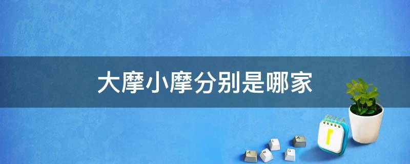 大摩小摩分别是哪家（大摩和小摩哪个公司厉害）