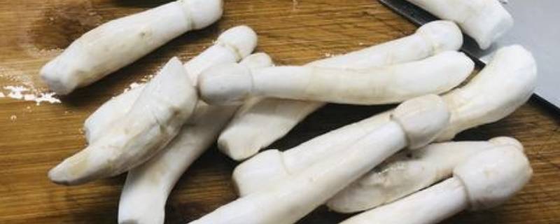 长蘑菇叫什么名字（100种蘑菇图片大全）