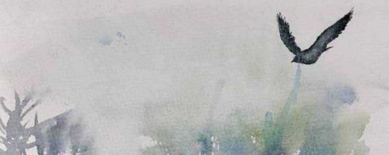 无脚鸟的寓意是什么 无脚鸟象征什么