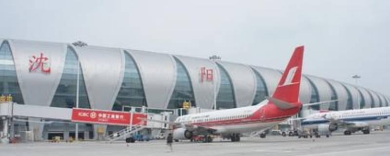 桃仙机场哪个区（桃仙机场官网）