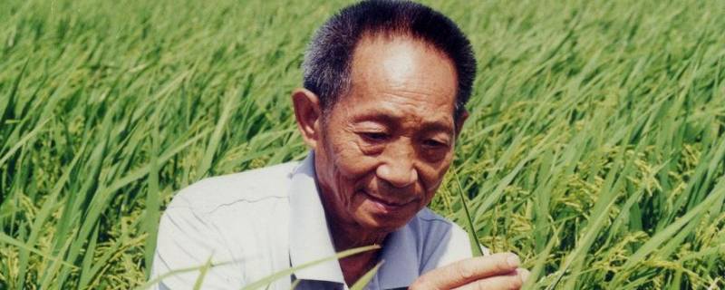 南袁北李指的是谁 南袁北李是讲哪两位杰出人物?