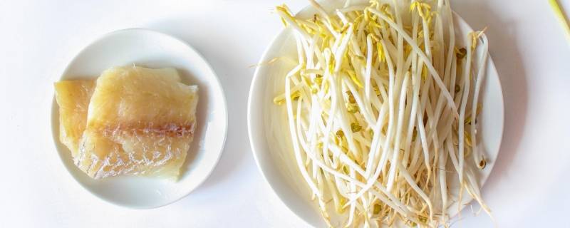 绿豆芽可以长多高 绿豆芽长多高了就不能吃了