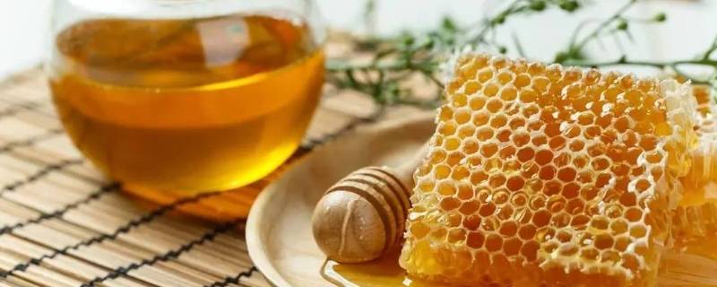 蜂蜜水要热水还是冷水泡 蜂蜜水要热水还是冷水泡好