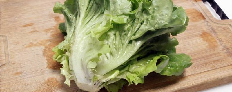 玻璃菜是什么菜 玻璃菜是哪的叫法