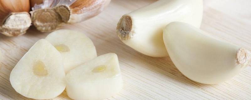 干大蒜怎样可以储存一年（保存大蒜的最佳方法）