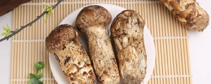 松茸冷冻后发黄还能吃吗（松茸冷冻后发黄还能吃吗有毒吗）