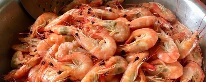 煮熟的虾放冰箱冷藏之后还能吃吗 煮熟的虾放冰箱冷藏之后还能吃吗为什么