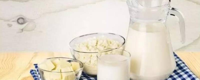 风味发酵乳和酸奶有什么区别 风味酸牛奶是不是真正的酸奶