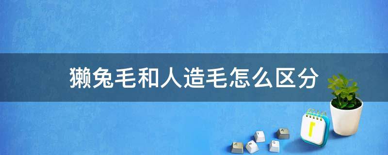獭兔毛和人造毛怎么区分 獭兔毛和人造毛的区别