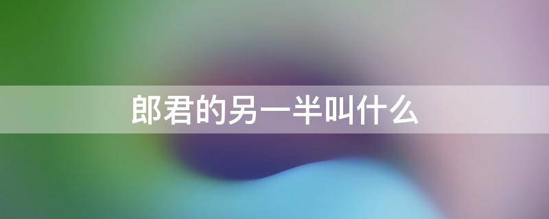郎君的另一半叫什么 郎君的另一半叫什么名字