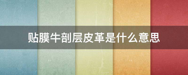 贴膜牛剖层皮革是什么意思（贴面牛剖层革）