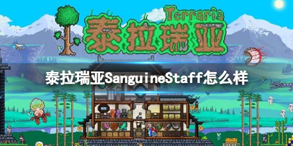 泰拉瑞亚SanguineStaff怎么样（泰拉瑞亚咋样）
