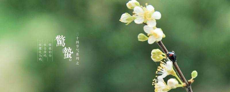 惊蛰到来后会有什么变化（惊蛰到来后会有什么变化发生）