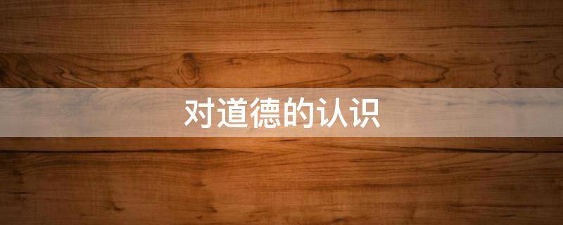 对道德的认识（对道德的认识100字）