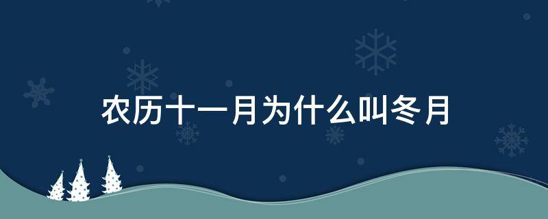 农历十一月为什么叫冬月 农历十一月份为什么叫冬月