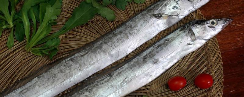 带鱼背上需要剪开洗吗（带鱼背部）