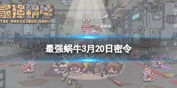 最强蜗牛3月20日密令是什么（最强蜗牛1月30日密令）