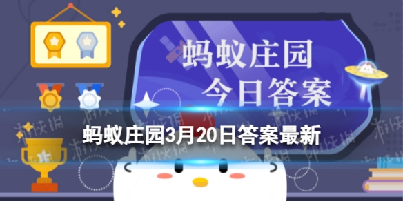 锦官城是哪个城市（花重锦官城是哪个城市）