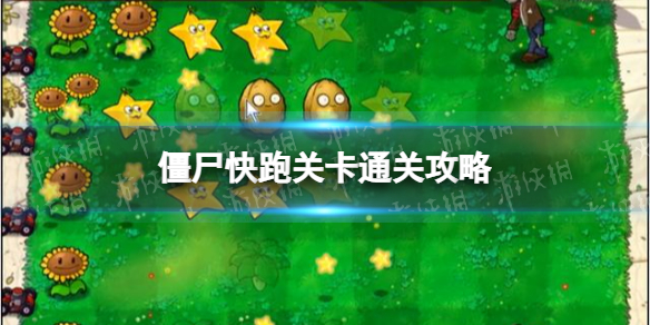 植物大战僵尸僵尸快跑关卡怎么过（植物大战僵尸僵尸快跑关卡怎么过的）