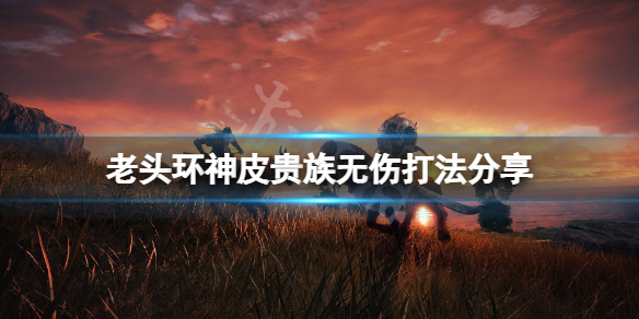 艾尔登法环神皮贵族无伤怎么打 艾尔登法环好玩吗