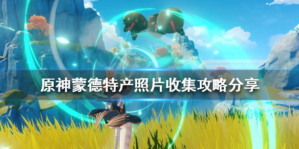 原神蒙德特产在哪（原神蒙德特产在哪拍）