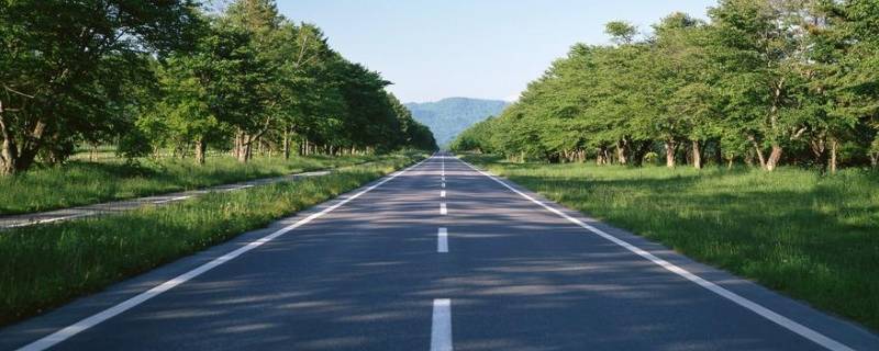 城市道路分为哪四类 城市道路分为哪四类类型