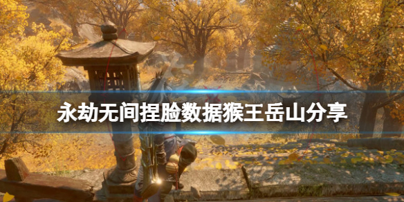永劫无间捏脸数据猴王岳山分享（永劫无间捏脸和尚数据）