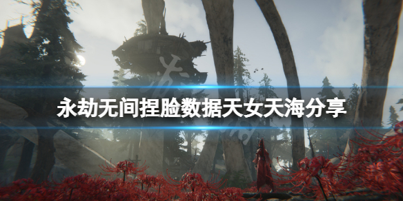 永劫无间捏脸数据天女天海分享 永劫无间天海好看的捏脸数据