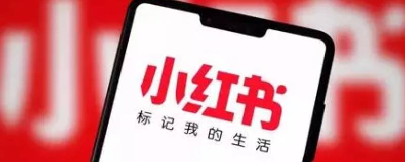 小红书收藏删不掉如何解决 小红书怎么删除已经失效的收藏