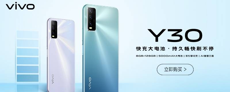 vivoy30标准版和vivoy30的区别（vivoy30和vivoy30标准版有什么区别）