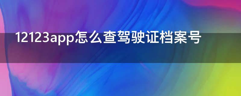 12123app怎么查驾驶证档案号（12123app怎么查驾驶证档案编号）