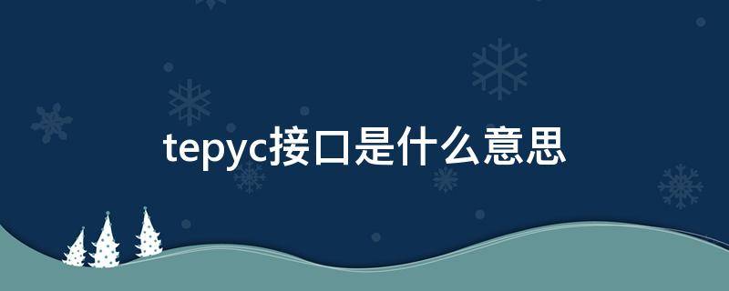 tepyc接口是什么意思