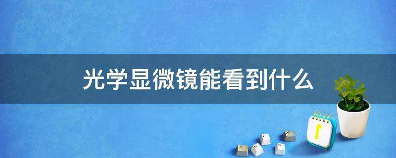 光学显微镜能看到什么（高倍光学显微镜能看到什么）