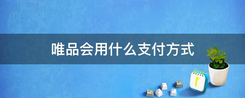 唯品会用什么支付方式（唯品会可以微信支付吗）