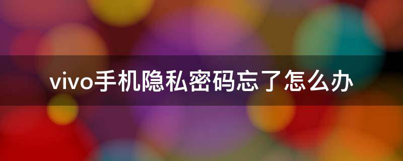 vivo手机隐私密码忘了怎么办（vivo手机忘记隐私密码了怎么办）