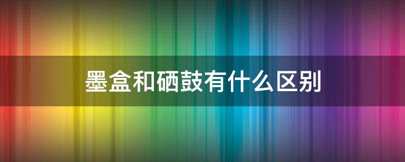 墨盒和硒鼓有什么区别（墨盒和硒鼓有什么区别价格）