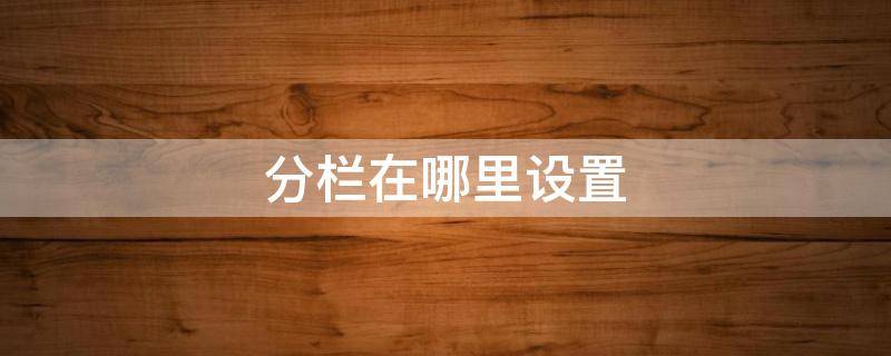 分栏在哪里设置 分栏怎么搞