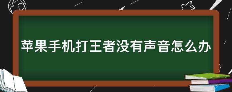 苹果手机打王者没有声音怎么办 苹果手机打王者没有声音怎么办啊