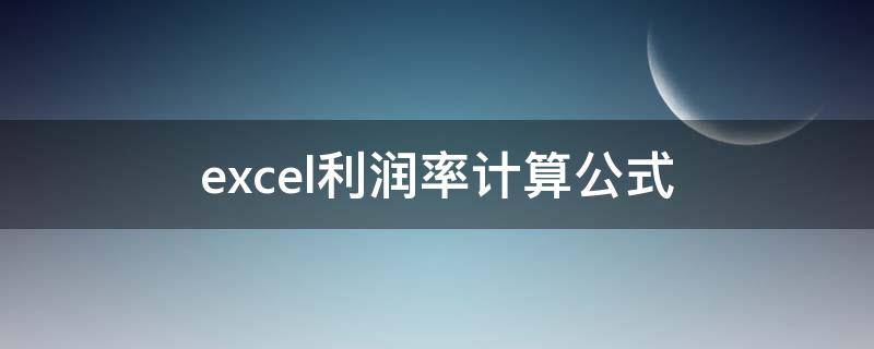 excel利润率计算公式（excel利润的计算公式）
