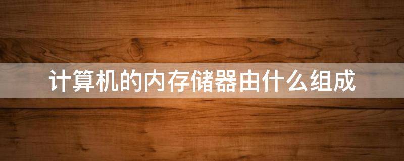计算机的内存储器由什么组成（计算机的内存储器包括）