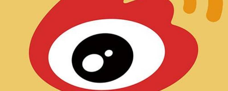 新浪微博会员能看到访客记录吗（新浪微博的会员可以看到访客吗）