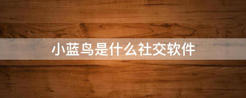 小蓝鸟是什么社交软件