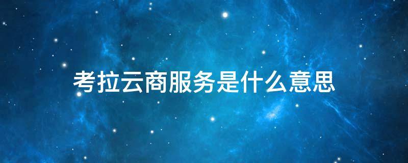 考拉云商服务是什么意思 考拉云商服务是什么意思呀