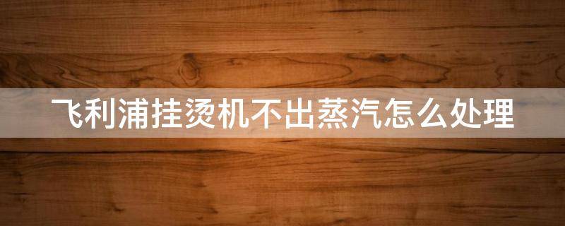 飞利浦挂烫机不出蒸汽怎么处理 飞利浦挂烫机不出蒸汽怎么处理求视频加热