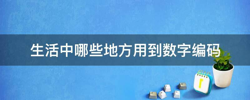 生活中哪些地方用到数字编码（生活哪些地方用到数字编码举例说明）