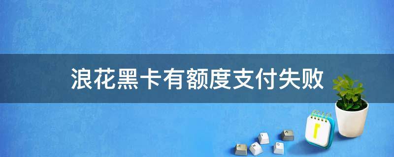 浪花黑卡有额度支付失败